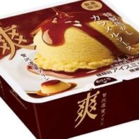 【2025年12月発売】年末年始休みに食べたいお菓子新商品まとめ「かっぱえびせん 海老の天ぷら七味味」「爽 贅沢濃蜜プリン」など9品！