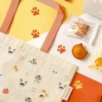 【2025年12月】ねこねこブランド最新情報まとめ~かわいい新商品やお得な福袋など続々登場!