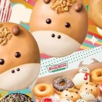 2026年午年スイーツまとめ第3弾！KKD「キャラメル ホース カスタード」・久世福商店「型抜きバウム 干支午」など