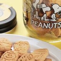 KALDI 数量限定のスヌーピーアイテム3選｜オンラインストア限定も