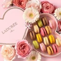 【バレンタイン2026】ラデュレの新作まとめ｜パリが舞台の限定マカロン＆ショコラ、アフタヌーンティーも