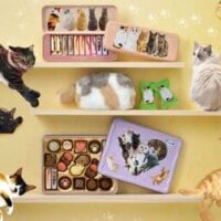 【猫好き必見】メリーチョコレート 2026年バレンタイン限定「ねこみゃみれ」チョコまとめ！「ねこにゃべ缶」「もふぷにポーチ（白猫）」など