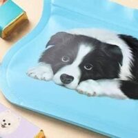 KALDI 犬をモチーフにしたスイーツ3選｜オンラインストア限定商品も