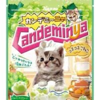 【2026年2月発売】グミ新商品まとめ「エッセルスーパーカップ超バニラ味グミ」「カンデミーニャグミ コネコネこねこ」 など