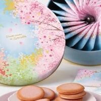 【2026年春】ヨックモック最新ギフト特集｜桜限定・シガール・人気焼き菓子まとめ