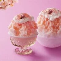 【2026年3月発売】桜スイーツ新商品まとめ「いちごと桜のモンブランクレープ」「天然水の削り氷 桜もちみるく」など