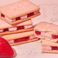 【2026年3月】おすすめ手土産 新商品まとめ！ヨックモック・TOKYOチューリップローズ・RINGO・ベリールビーカット・チーズガーデンの5ブランド