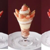 【2026年3月発売】苺パフェ新商品まとめ！スシロー・ロイヤルホスト・サンマルクカフェ・ココス・資生堂パーラーの5ブランド