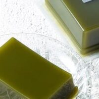 【2026年版】シャトレーゼの抹茶スイーツおすすめ6選｜期間限定も紹介