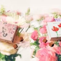 【2026年4月】新作スイーツまとめ！～メゾンカカオ・ナッシュ・パンとエスプレッソと・東京ミルクチーズ工場～