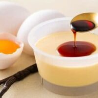 【2026年4月発売】プリン新商品まとめ「なめらか贅沢な焼プリン カスタード」「なめらか桔梗信玄餅プリン」など