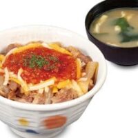【2026年4月最新】外食チェーン 新商品・新メニューまとめ第2弾！松屋・すき家・吉野家・かつや・なか卯の5ブランド