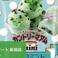 【4月28日発売】ファミリーマート 新商品お菓子まとめ「不二家 カントリーマアムミニチョコミント」や「ポテトチップス爽やかタルタル味」など