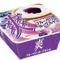 【2026年4月発売】新作アイスまとめ第2弾「爽 ブルーベリーヨーグルト味」「森永アロエヨーグルト味フローズンカップ」など