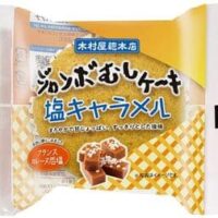 【2026年5月発売】菓子パン新商品まとめ「ディズニーキャラクター チョコチップメロンパン」「ジャンボむしケーキ 塩キャラメル」など