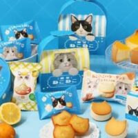 【2026年5月・6月】ねこねこ・N.Y.C.SAND・COCORISの注目新作クッキー＆焼き菓子最新情報まとめ