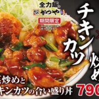 【2026年6月1日発売開始】かつや・松のや注目の新メニュー！スタミナ全振り丼からうまトマメンチかつまで外食チェーン定食最新情報