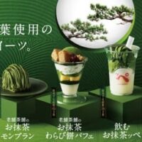 【2026年6月3日】スシローと京都老舗茶舗「森半」がコラボ！日本屈指の茶師監修の極上抹茶スイーツ4品を徹底紹介