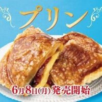 【2026年6月】プリンスイーツ新商品まとめ「メイトーのなめらかプリン カルピス入りソース」「クロワッサンたい焼 プリン」など