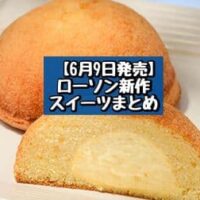 【6月9日発売】ローソン 新商品スイーツまとめ「ご褒美スティックケーキ とろける生マシュマロ」「ふわふわドームケーキ カスタードホイップ」など