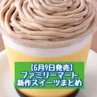 【6月9日発売】ファミリーマート 新商品スイーツまとめ「かじるガトーショコラ（チョコミント）」や「でか～いイタリア栗のモンブランプリン」など