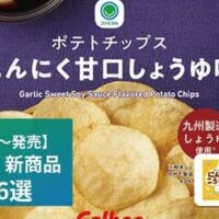 【7月14日発売】ファミリーマート 新商品お菓子まとめ「ポテトチップスにんにく甘口しょうゆ味」「サクレグミ」など