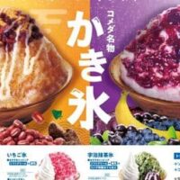 【2026年夏最新版】コメダ珈琲店 かき氷まとめ！「アサイーミックス氷」「もも太郎氷」「黒蜜きなこのぜんざい氷」など5品