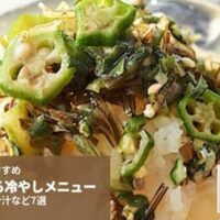 【無印良品】夏におすすめ ごはんにかける冷やしメニュー7選　「冷やし茶漬け 長野のやたら」「宮崎風 冷や汁」など