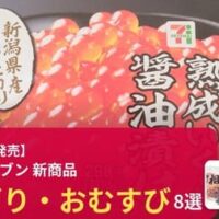 【セブンーイレブン　7月14日以降発売】新商品おにぎり・おむすび8選（全国）